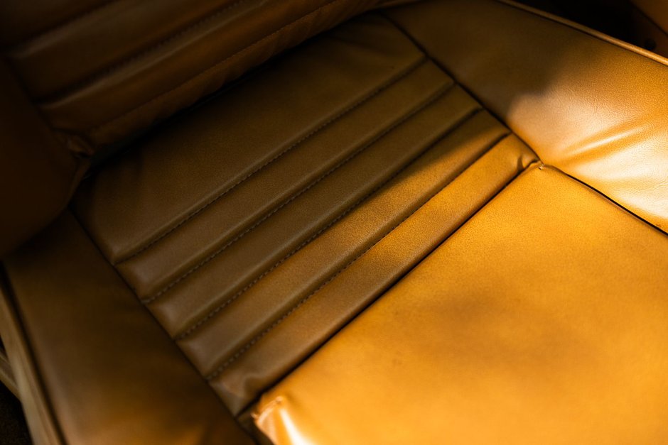 1978 Pontiac Firebird Trans Am-41