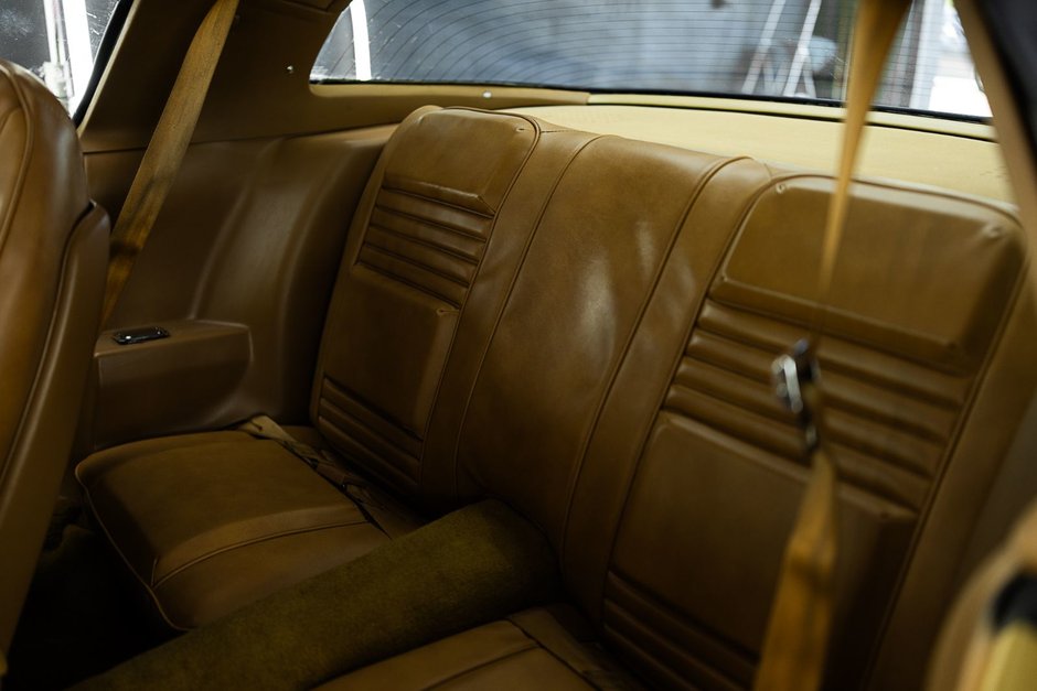 1978 Pontiac Firebird Trans Am-50