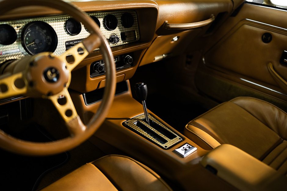 1978 Pontiac Firebird Trans Am-33