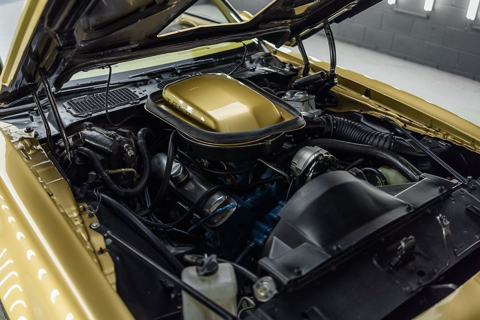 1978 Pontiac Firebird Trans Am-16