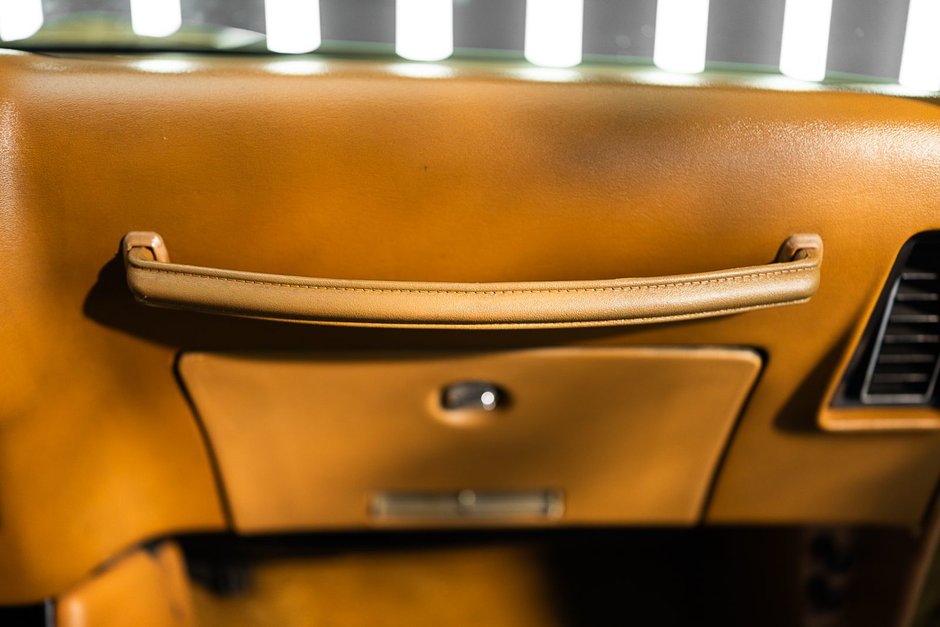 1978 Pontiac Firebird Trans Am-42