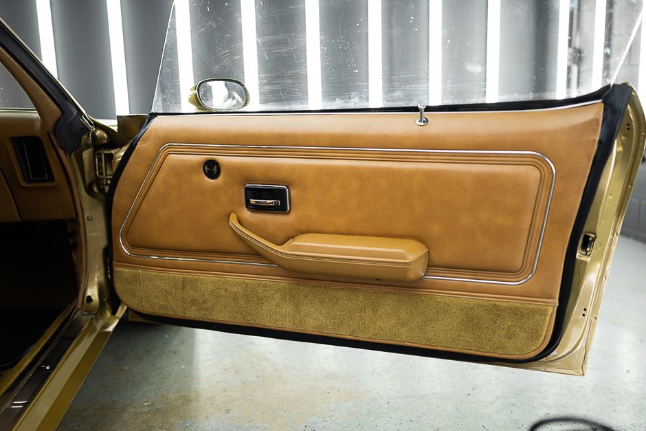 1978 Pontiac Firebird Trans Am-37