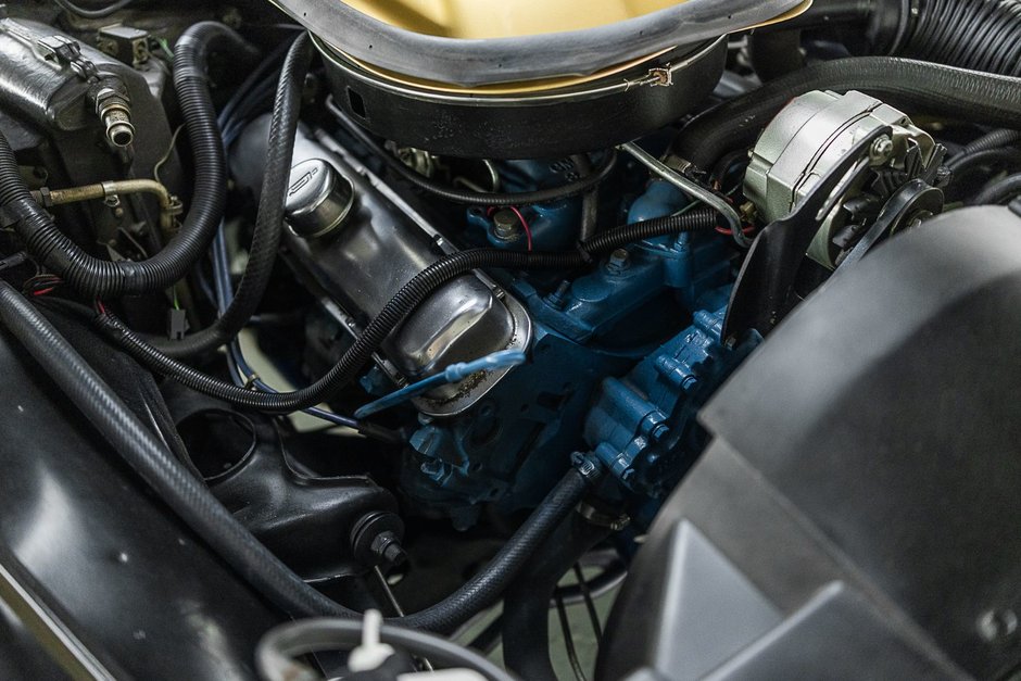 1978 Pontiac Firebird Trans Am-18