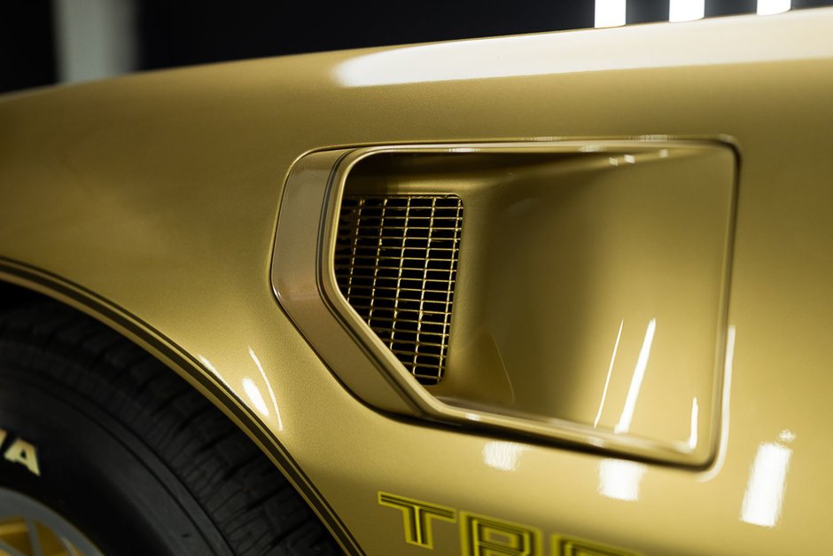 1978 Pontiac Firebird Trans Am-9