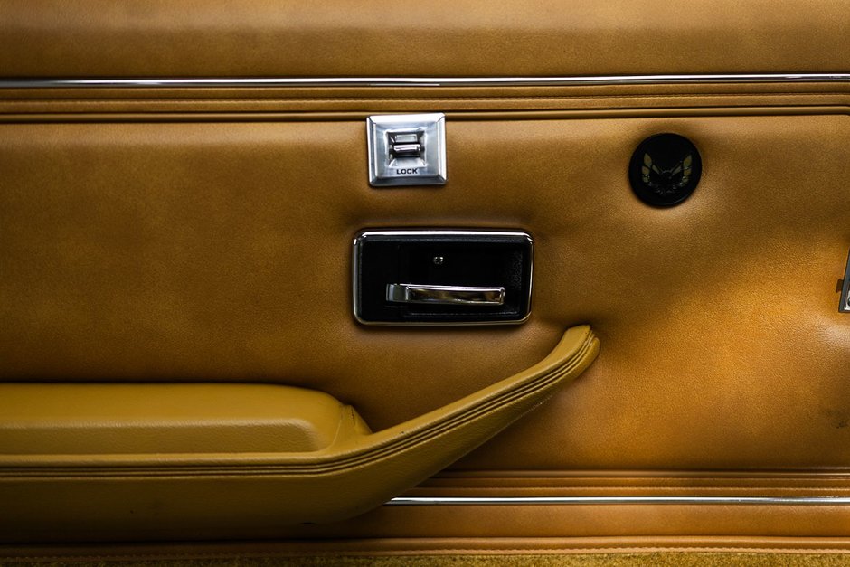 1978 Pontiac Firebird Trans Am-30