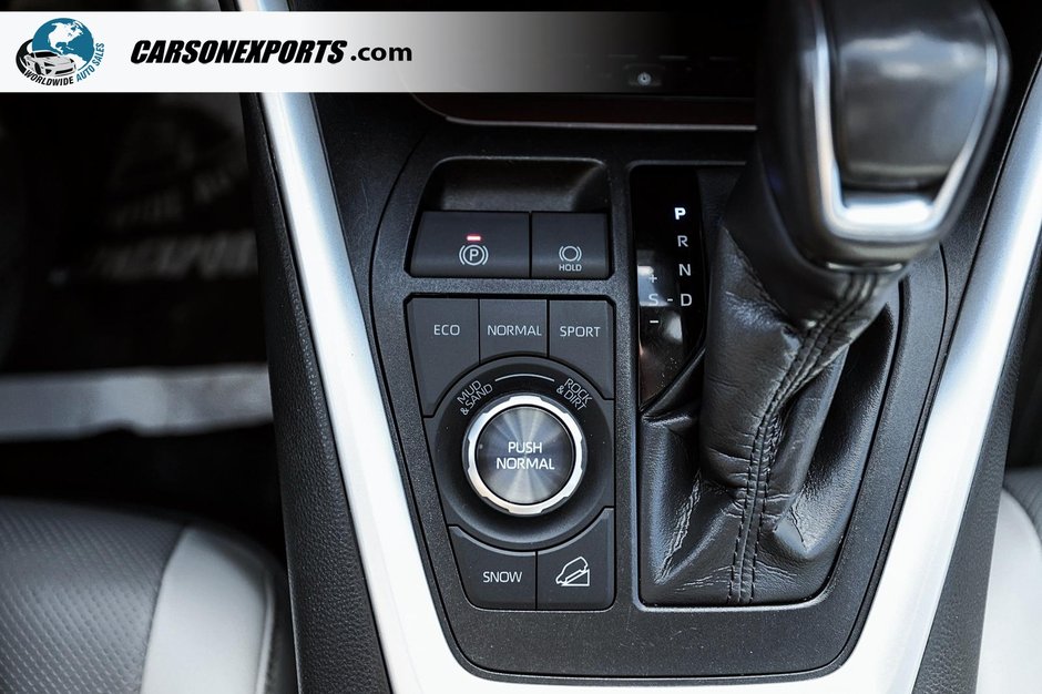 2019 Toyota RAV4 Limited AWD FINANCING AVAILABLE-30