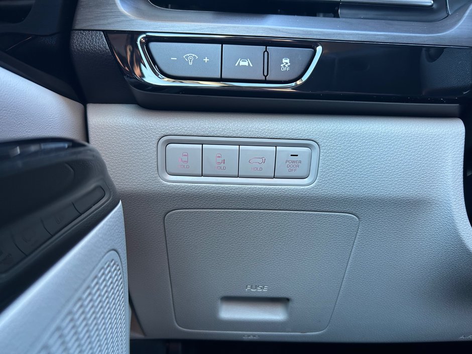 2023 Kia Carnival EX+-30