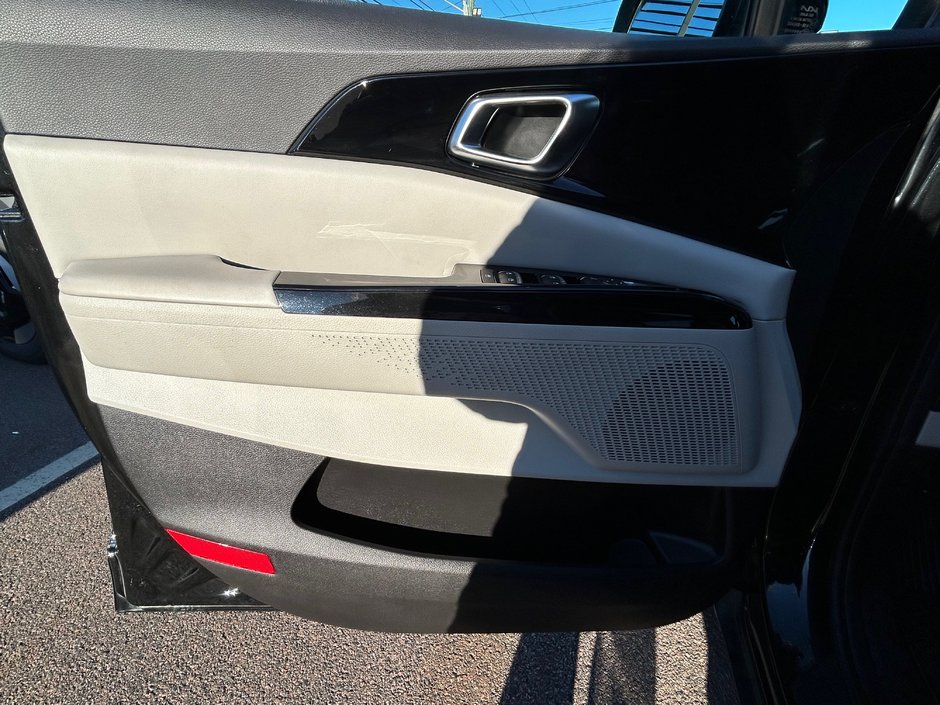 2023 Kia Carnival EX+-18