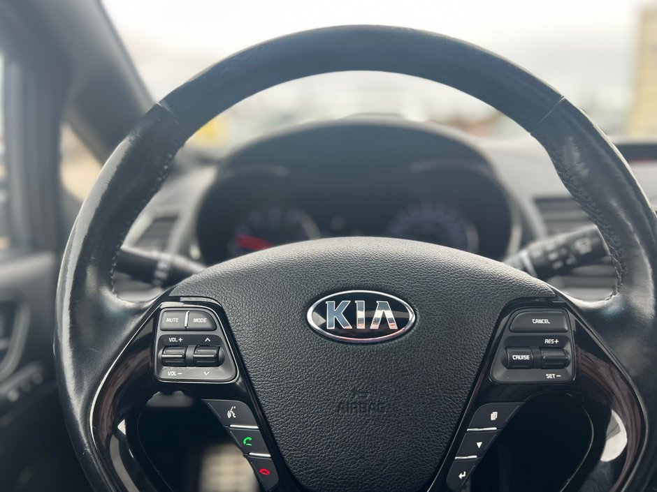 2018 Kia Forte5 SX Turbo-22