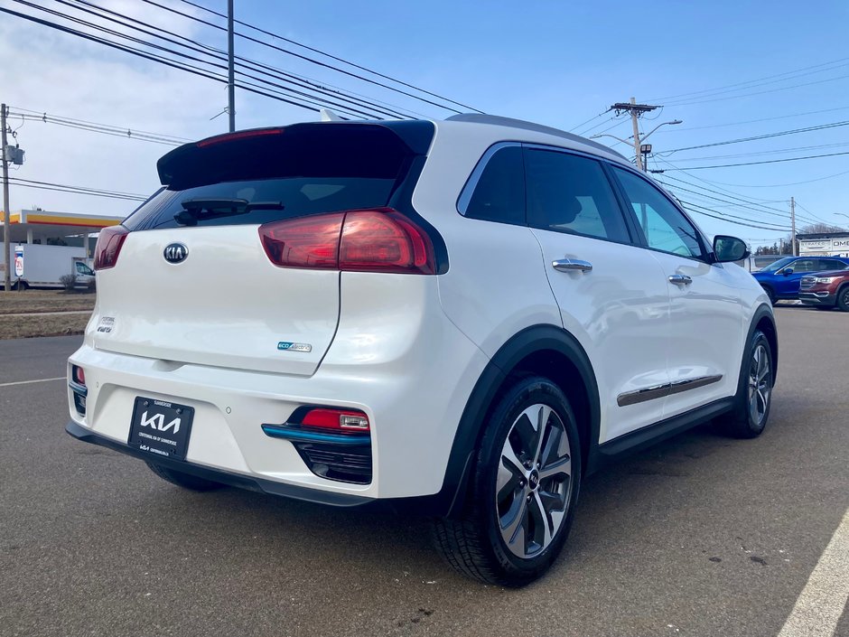 Kia niro store 2020 electric