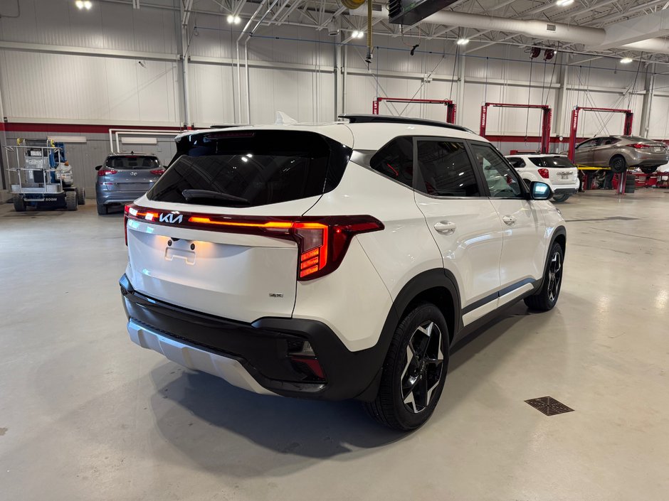 2024 Kia Seltos EX Premium AWD-5