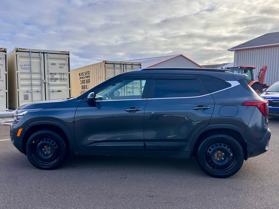 2025 Kia Seltos EX AWD-7