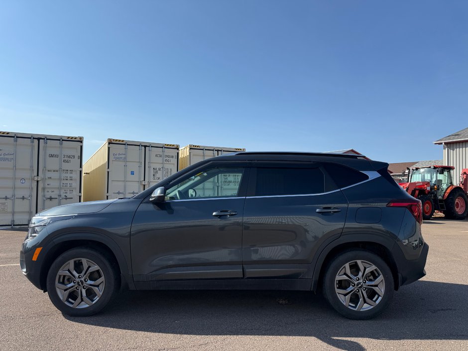 2025 Kia Seltos EX AWD-5