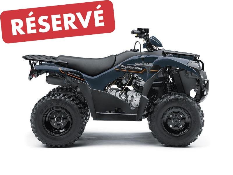 Kawasaki BRUTE FORCE 300  2025