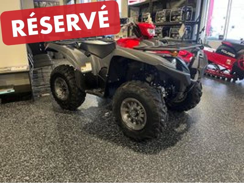 Yamaha Grizzly DAE R-Spec  2025