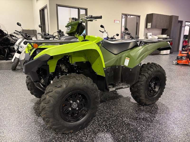 2026 Yamaha Grizzly DAE