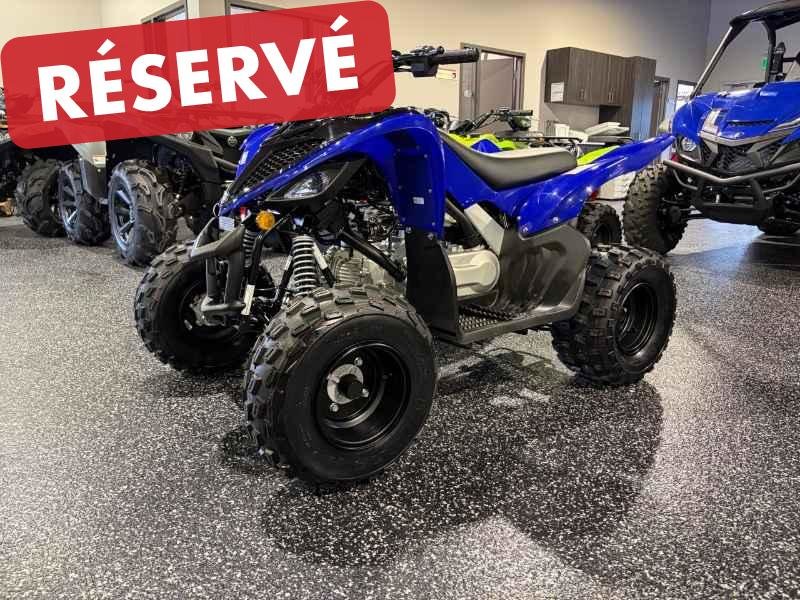 2026 Yamaha Raptor 110