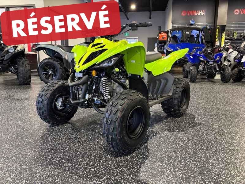 2026 Yamaha Raptor 110