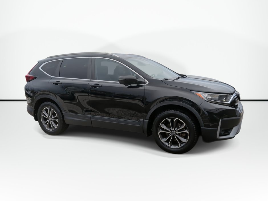2020 Honda CR-V EX-L | Sunroof | Leather | Cam in Saint John, New Brunswick
