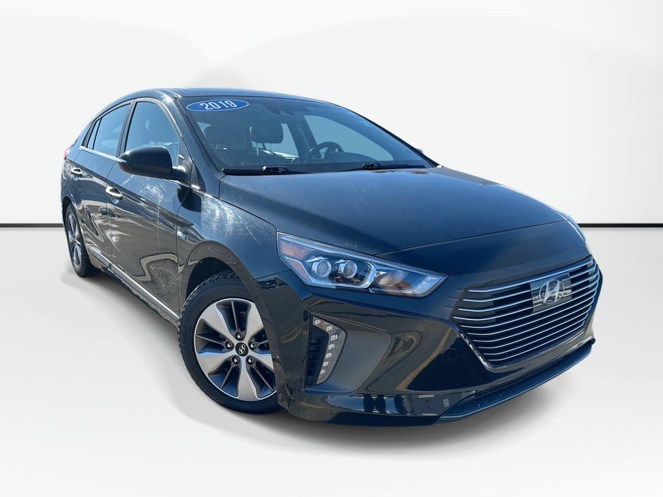 2019 Hyundai Ioniq Electric Plus Ultimate | Cam | Roof | Lthr | Warranty to 2027 in Saint John, New Brunswick
