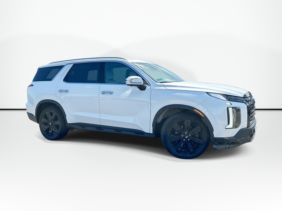 2023 Hyundai Palisade Urban | Lthr | Roof | Cam | Warranty to 2028 in Saint John, New Brunswick