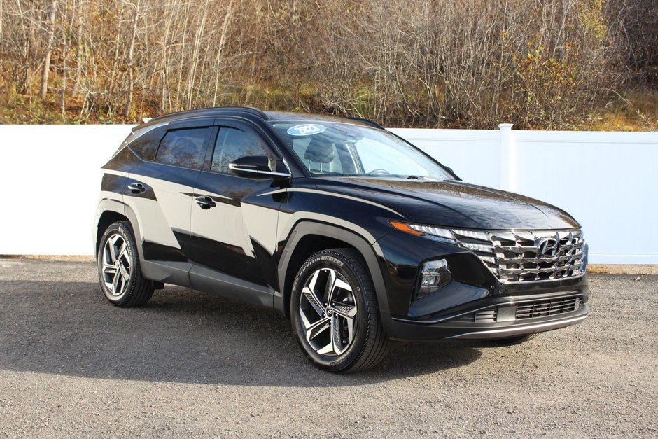 2023 Hyundai Tucson Hybrid in Antigonish, Nova Scotia - 1 - w320h240px