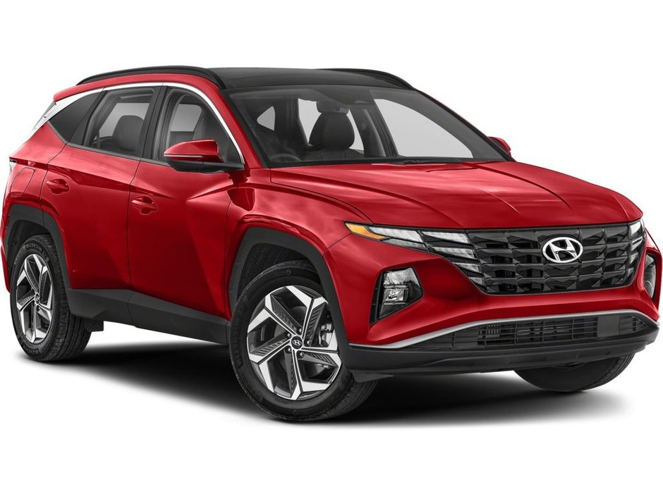 Hyundai Tucson Hybrid Luxury | Lthr | Roof | Cam | Cruise | AC 2023 à Saint John, Nouveau-Brunswick