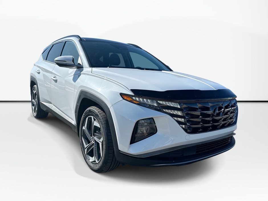 2024 Hyundai Tucson Hybrid Luxury | Roof | Lthr | HtdSeat | Warranty to 2032 in Saint John, New Brunswick