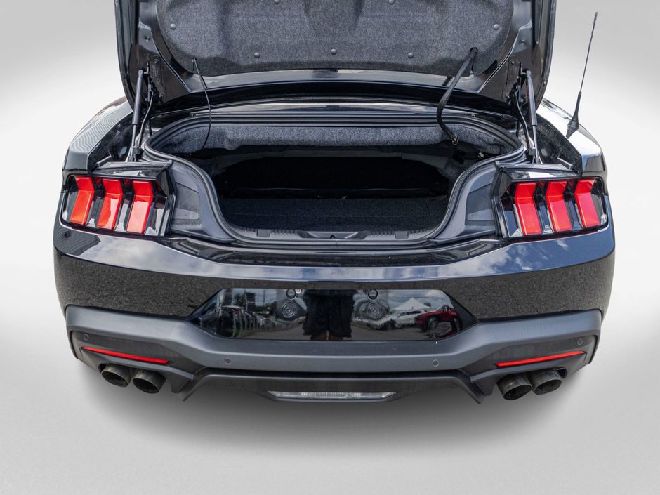 2024 Ford Mustang GT PREMIUM GT PERFORMANCE PACK 1 OWNER NO CARFAX CLAIM