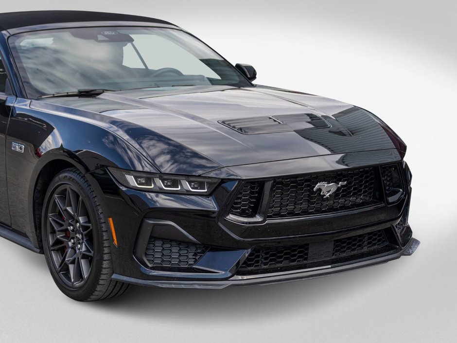 2024 Ford Mustang GT PREMIUM GT PERFORMANCE PACK 1 OWNER NO CARFAX CLAIM