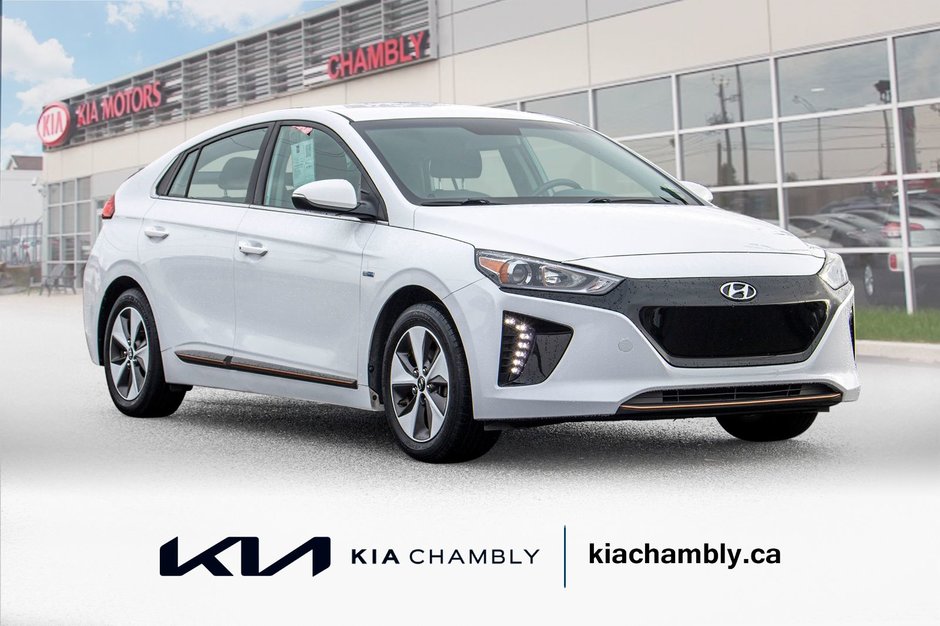 2019 Hyundai Ioniq Electric Preferred