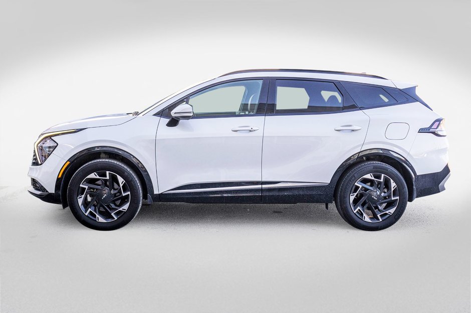 Kia Sportage EX PREMIUM BLANC CUIR ROUGE WOW 2025 PAS DE RECLAMATION AU CARFAX