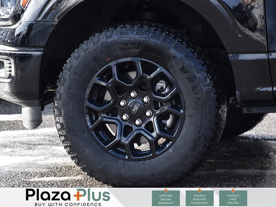 2025 Ford F-150 XLT-6