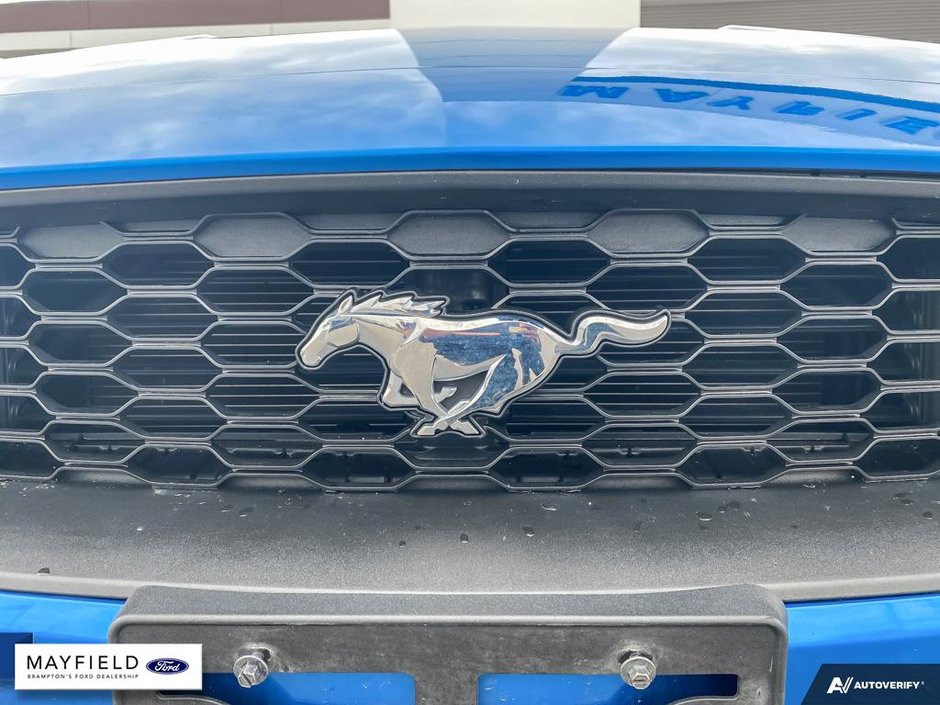 2019 Ford Mustang-8