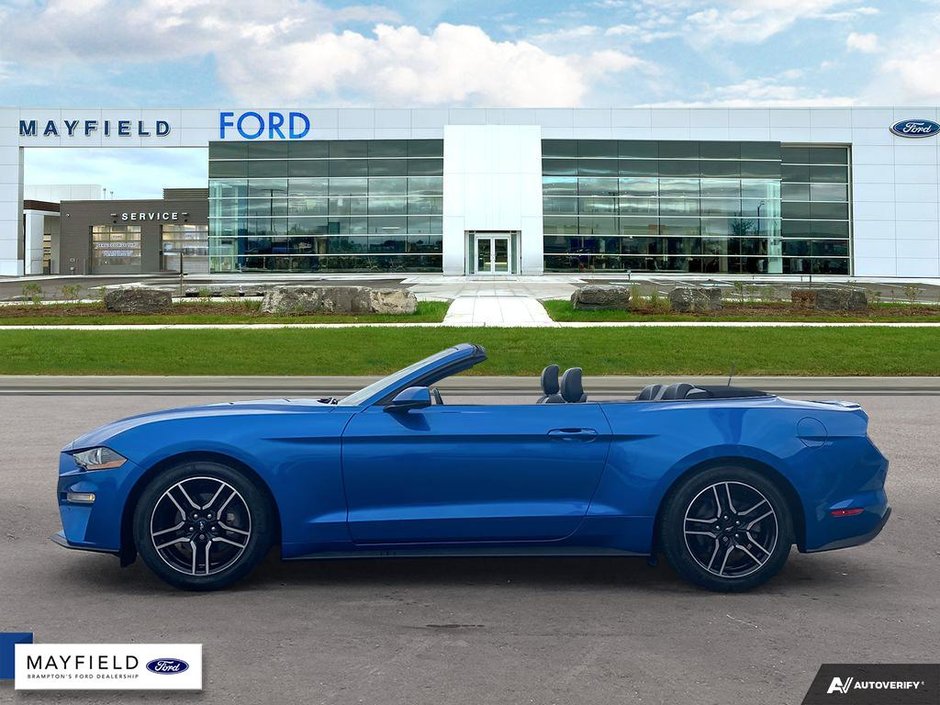 2019 Ford Mustang-2