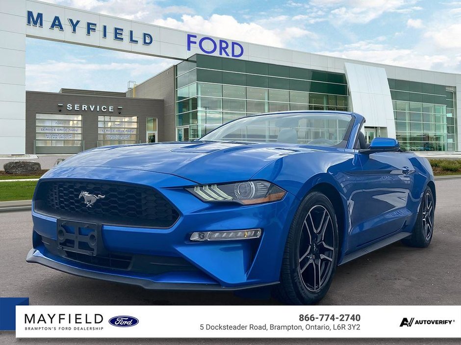 2019 Ford Mustang-0