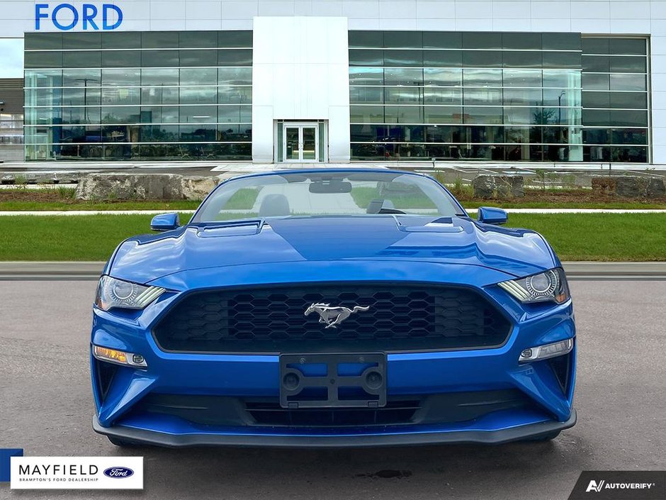 2019 Ford Mustang-1