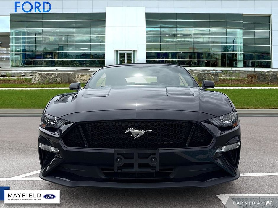 2019 Ford Mustang GT Premium-1