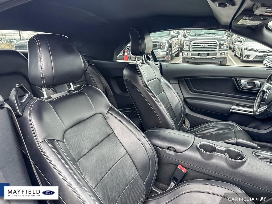 2019 Ford Mustang GT Premium-17
