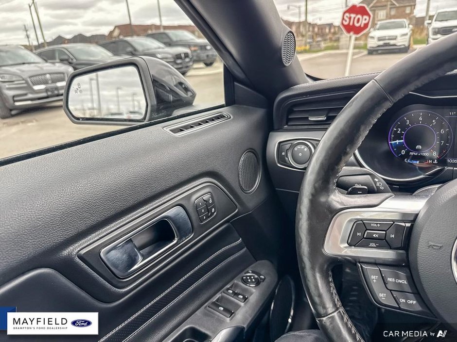 2019 Ford Mustang GT Premium-12