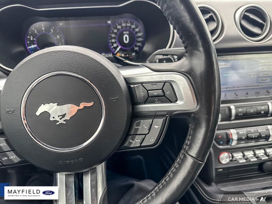 2019 Ford Mustang GT Premium-11