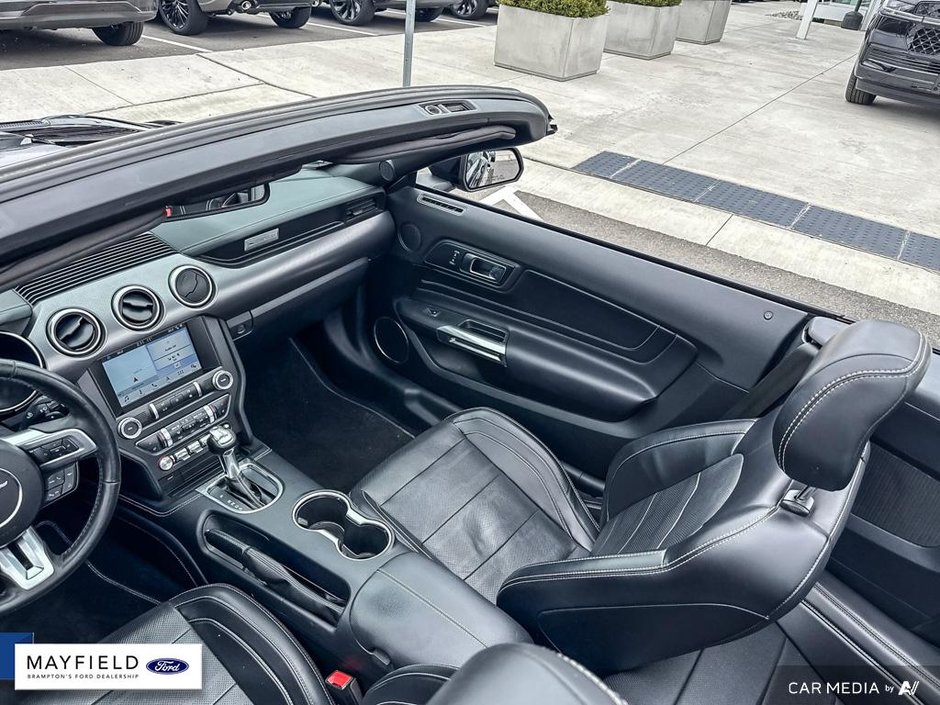 2019 Ford Mustang GT Premium-20