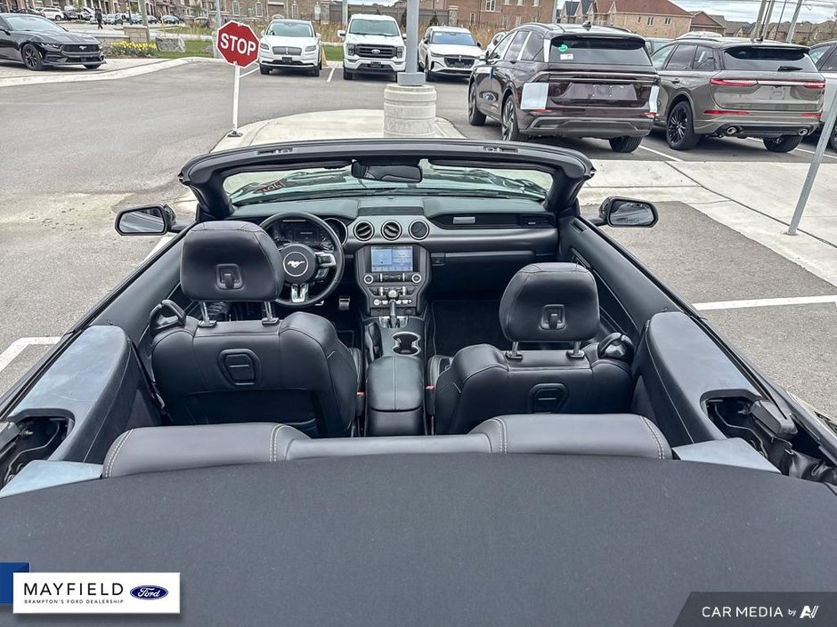 2019 Ford Mustang GT Premium-19