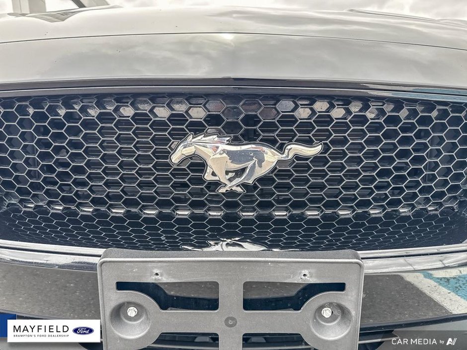 2019 Ford Mustang GT Premium-6