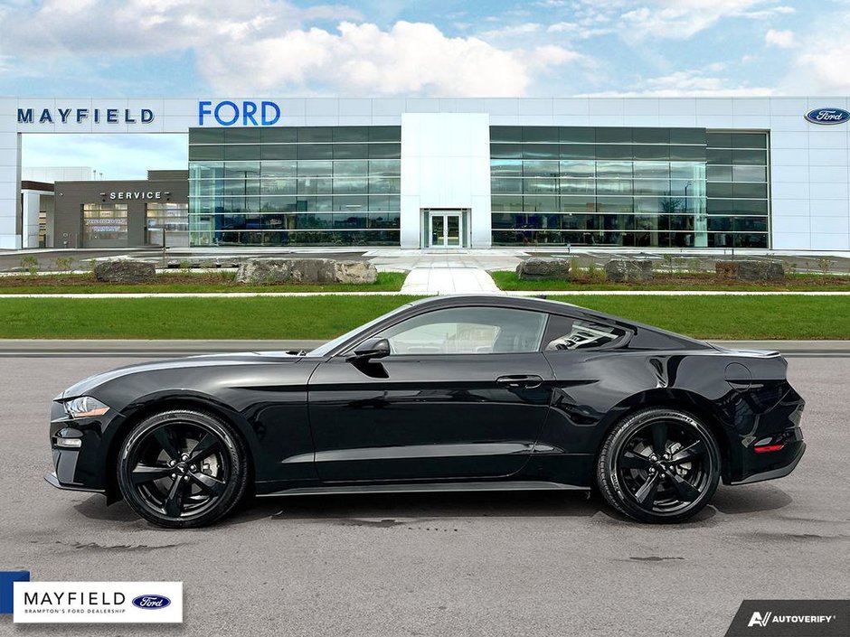 2023 Ford Mustang-2