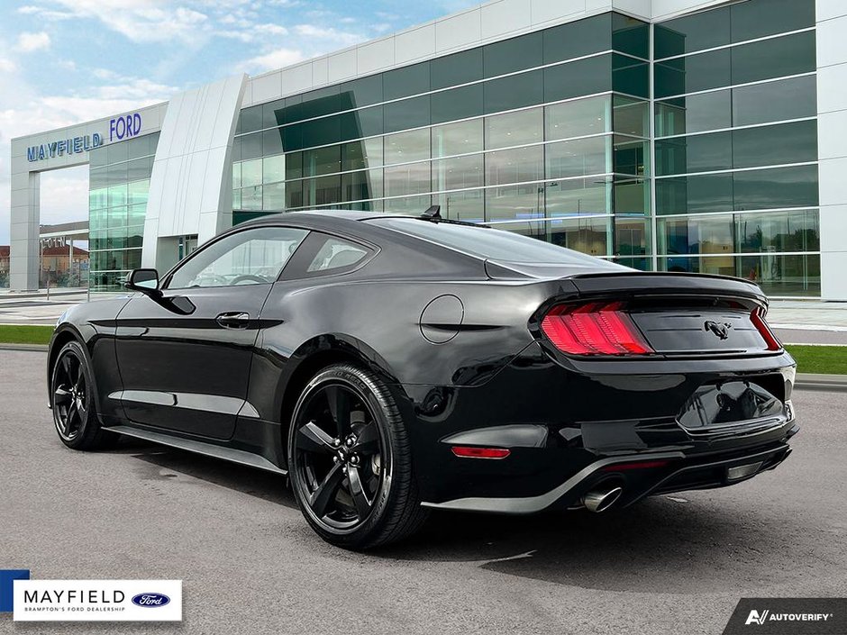 2023 Ford Mustang-3