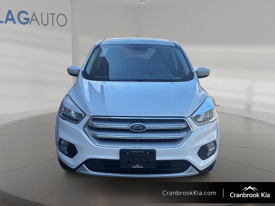 2019 Ford Escape SE-1