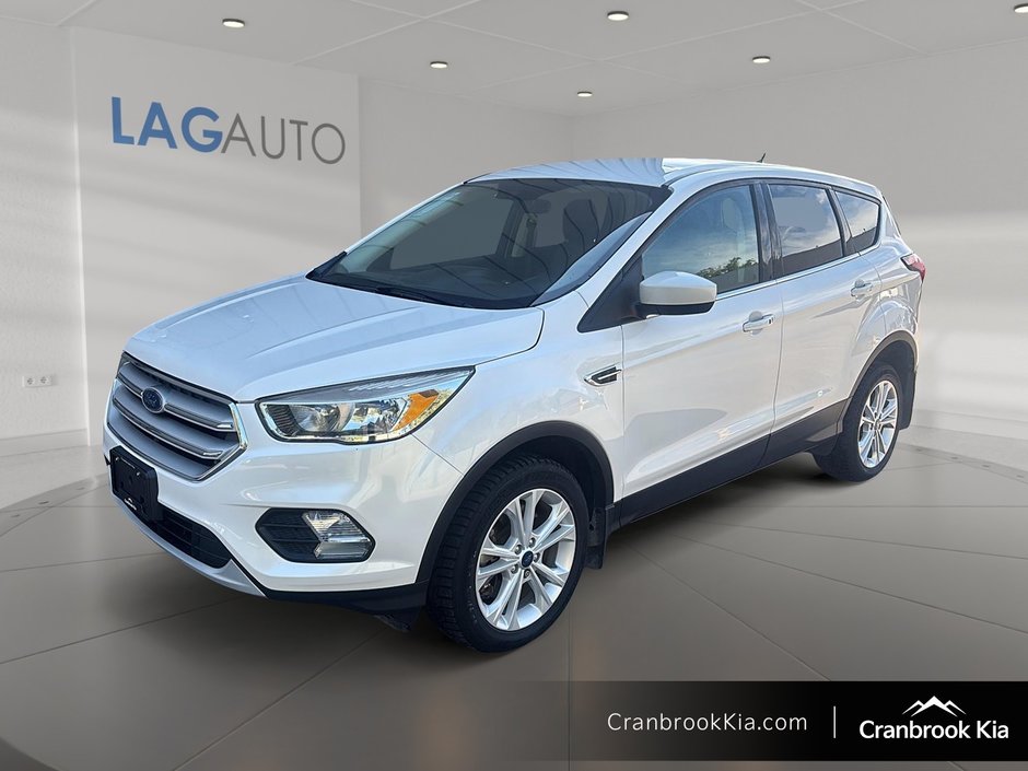 2019 Ford Escape SE-0