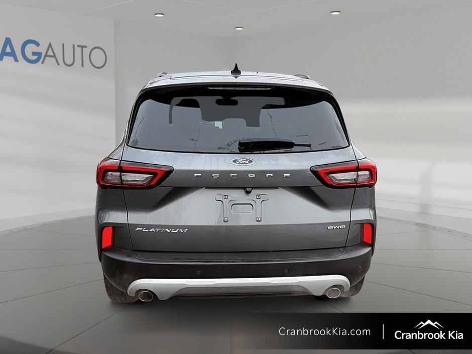 2024 Ford ESCAPE PLATINUM-2