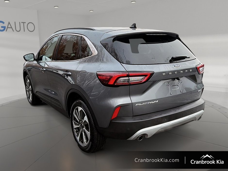 2024 Ford ESCAPE PLATINUM-3